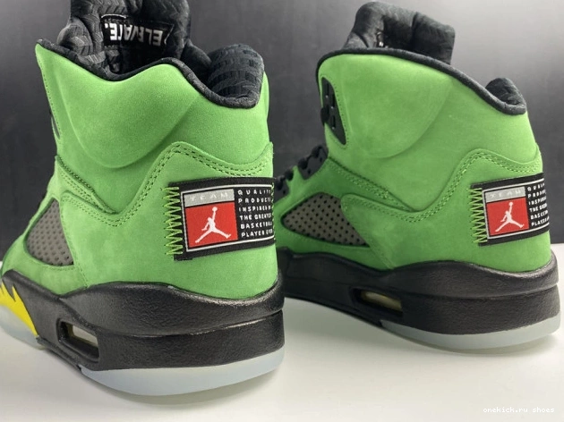 Cheap 5 CK6631-307 Air Ducks Oregon SE Jordan 0809